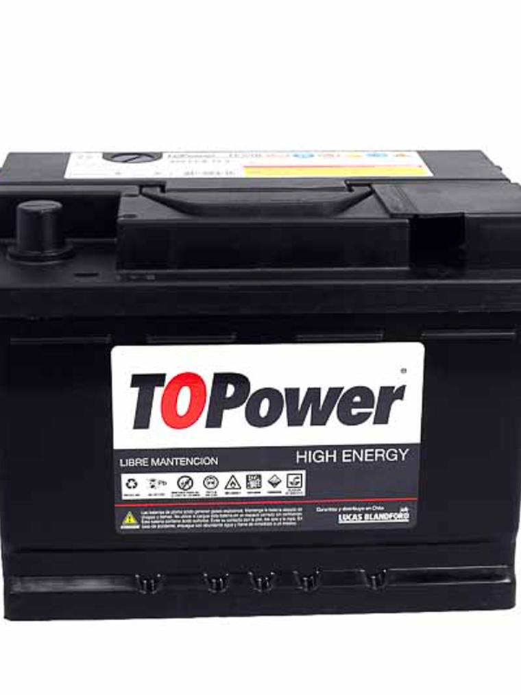 BATERIA TOPOWER 55 AMP 1