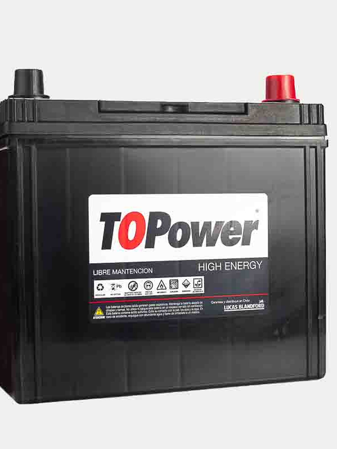 BATERIA TOPOWER 45 AMP 1