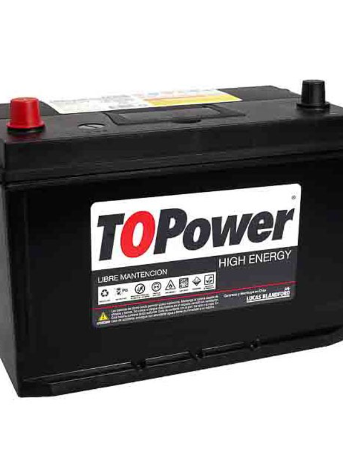BATERIA TOPOWER 100 AMP 1