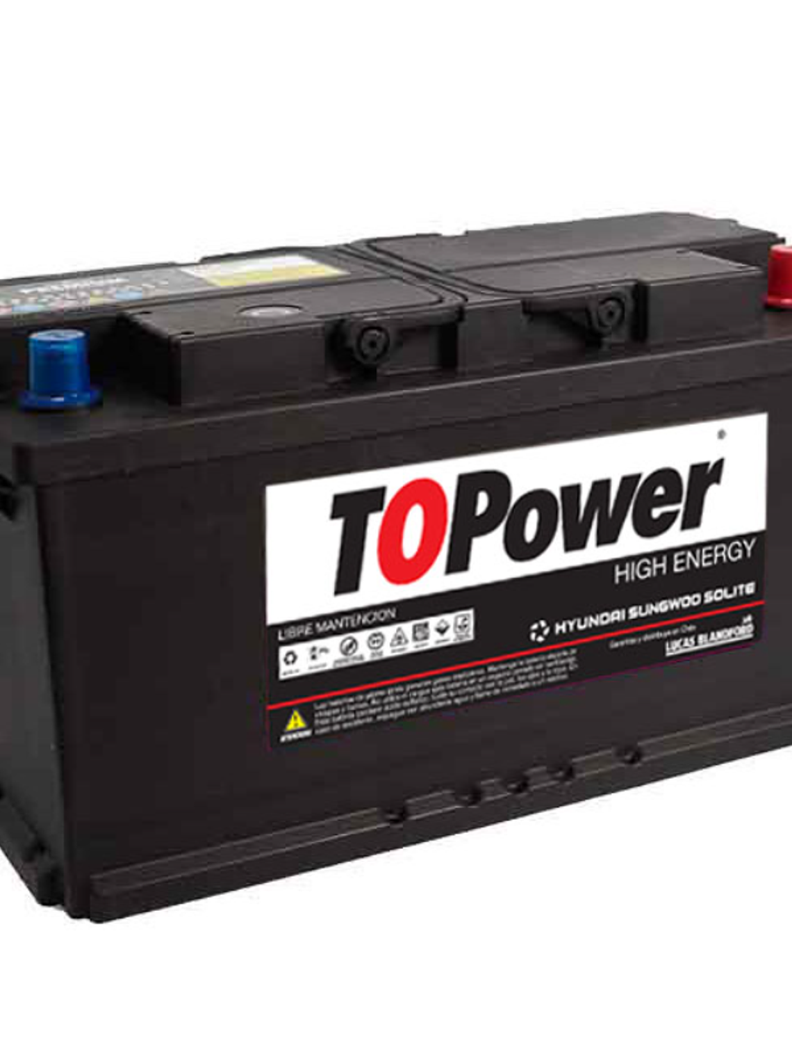 BATERIA TOPOWER 100 AMP 1