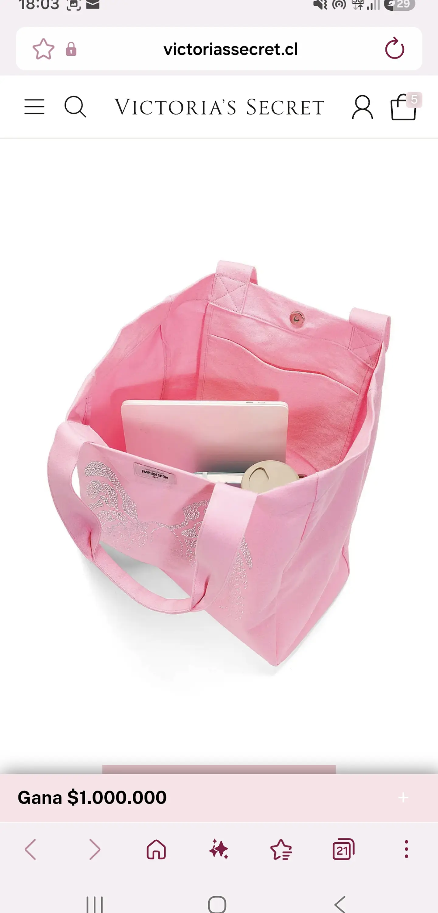 Bolso lona con broche Fashion show 2026 2