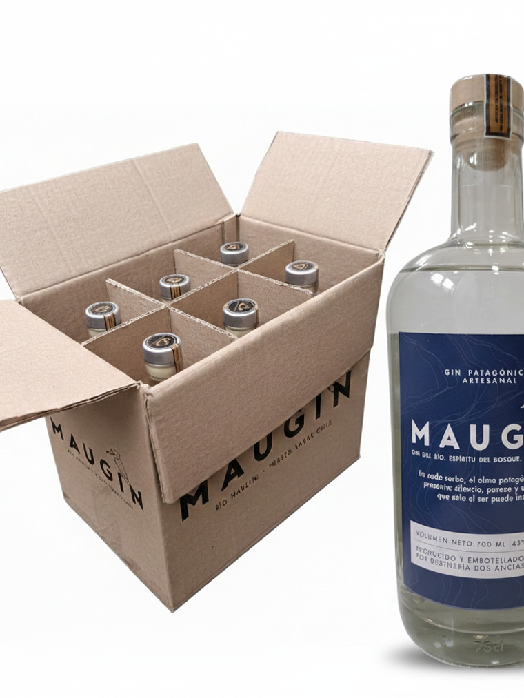 Caja de 6 botellas Maugin Patagónico 1