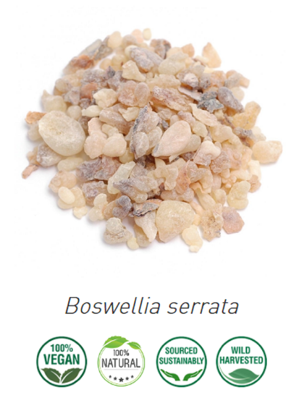 ACEITE ESENCIAL INCIENSO OLIBANO - 5 ml