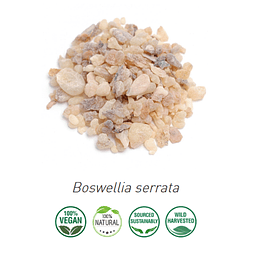 Aceite Incienso Serrata (Esencial)