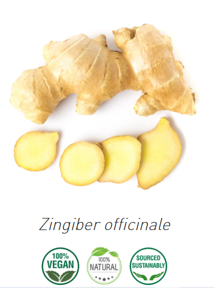 Aceite Esencial de Jengibre Bio 5ml (Zingiber officinale)