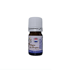 Aceite Absoluto Jacinto por 1 ml 100% Puro y Natural