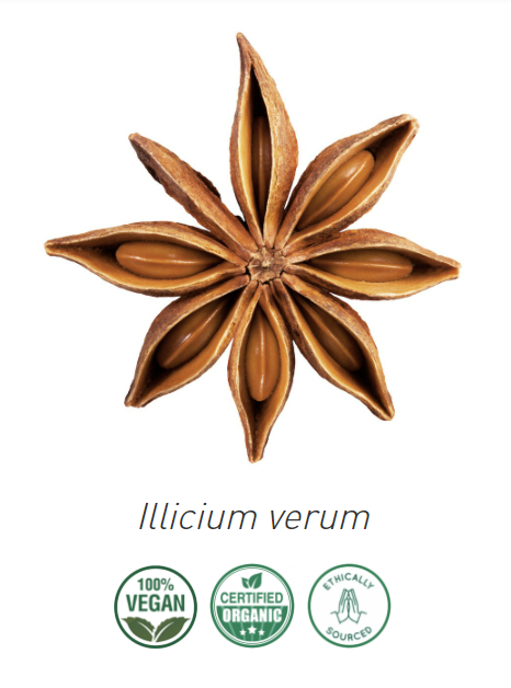 Aceite Anís Estrellado  (esencial) NB: Illicium verum