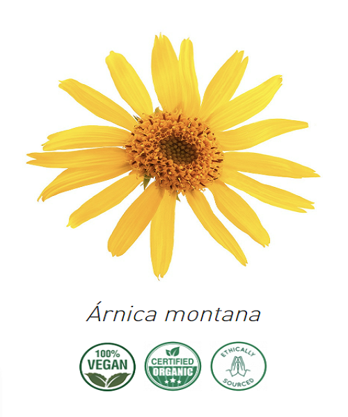 Aceite Arnica, orgánico (Infusión) NB: Árnica Montana