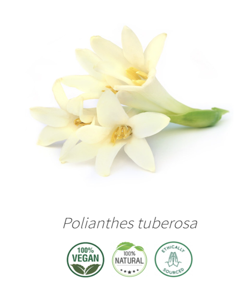 Aceite Flor de Nardo  NB: Polianthes tuberosa