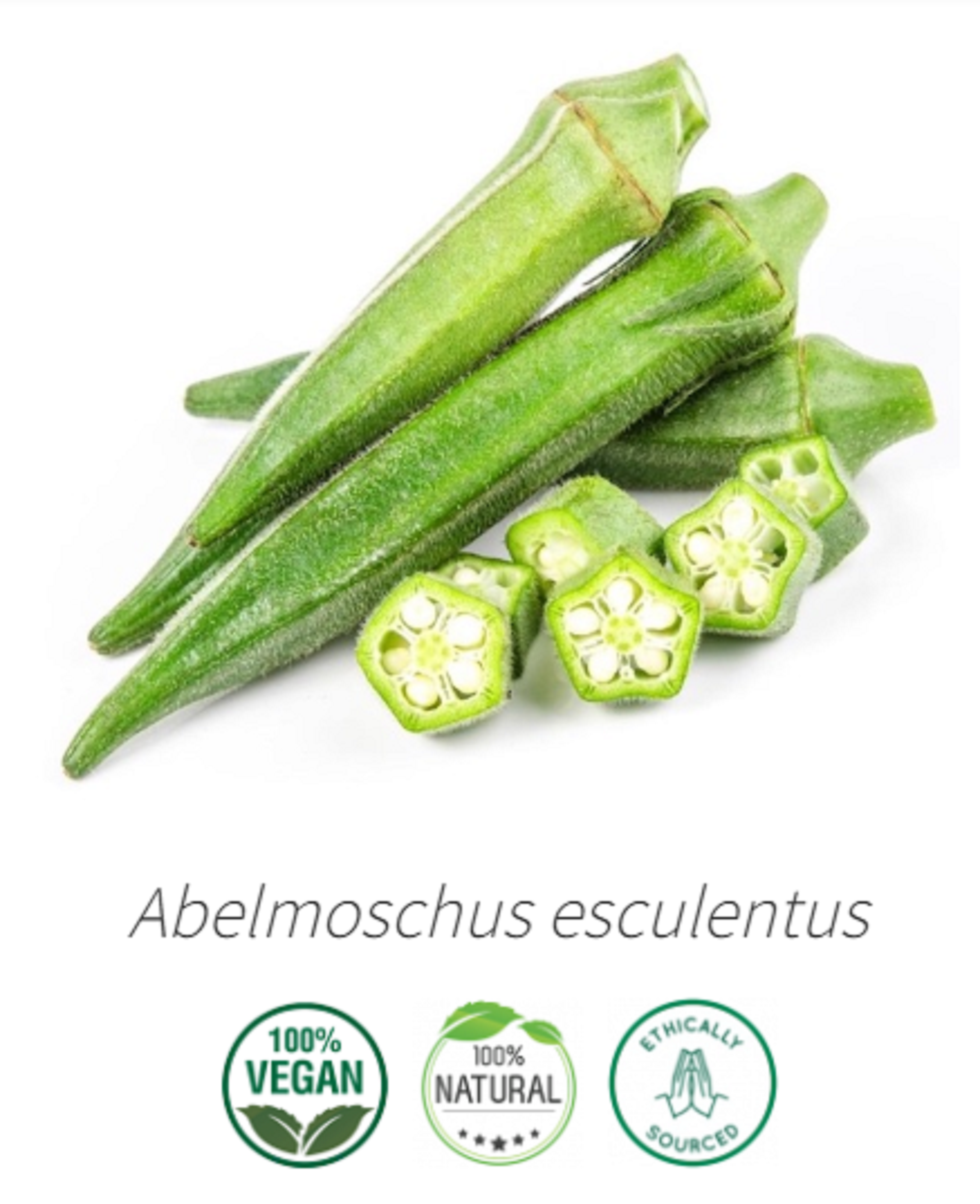 Aceite vegetal Almizcle / semilla de okra