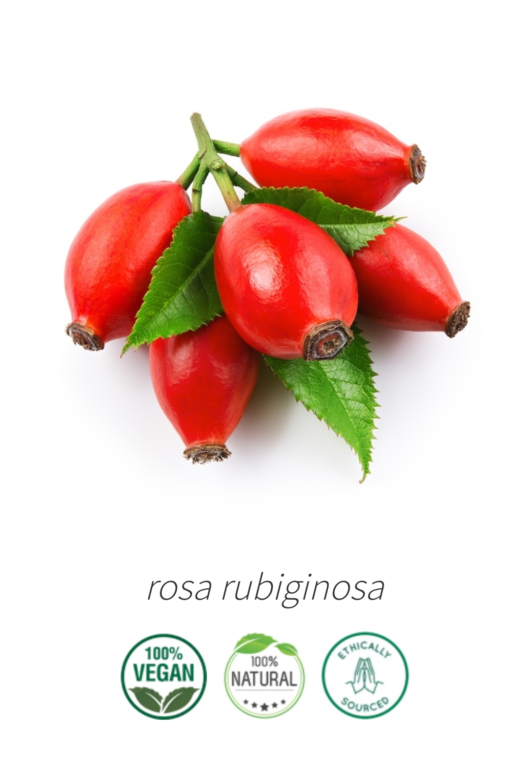 Aceite cicatrizante natural de rosa mosqueta puro y ecológico prensado en frío