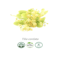 Aceite Flor de Tilo (absoluto) 100% Puro y Natural