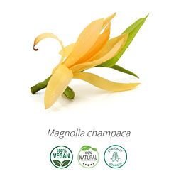 Aceite Magnolia Champaca (absoluto) 100% Puro y Natural