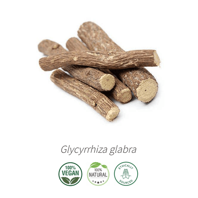 Aceite Regaliz (Esencial) NC: Glycyrrhiza glabra