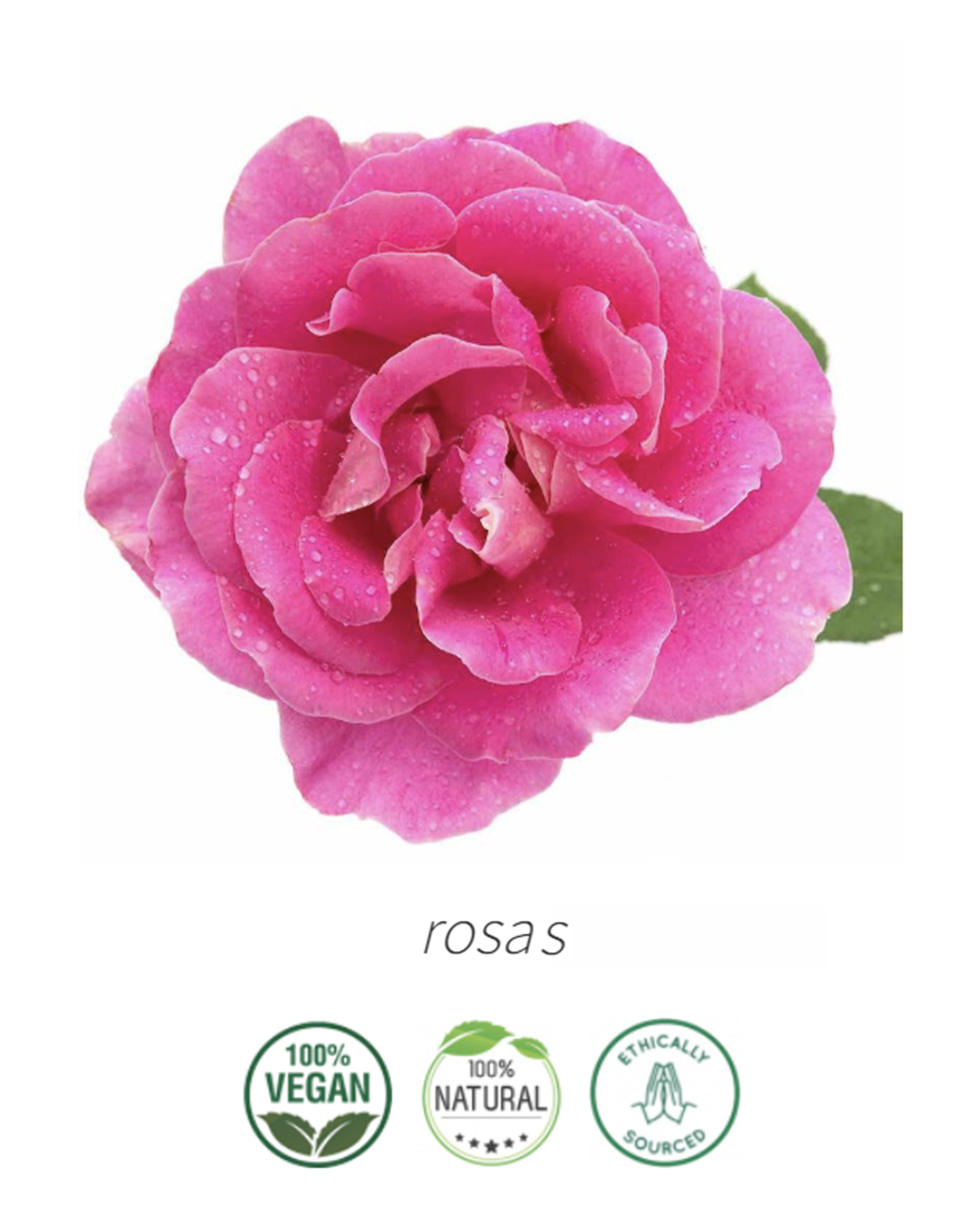 Aceite Rosas # 1