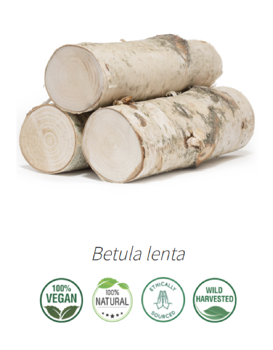 Aceite Abedul Dulce  NB: Betula lenta (Esencial) 10 ml
