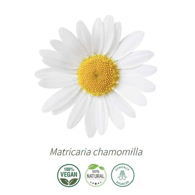 Aceite Manzanilla Alemana o Azul de Hungría (esencial) NB: Matricaria chamomilla 