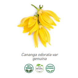Aceite Ylang Ylang # 2 (Esencial) NB: Cananga odorata var. genuina