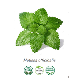 Aceite Melisa / Toronjil de Alemania (esencial)  NB: Melissa Officinalis