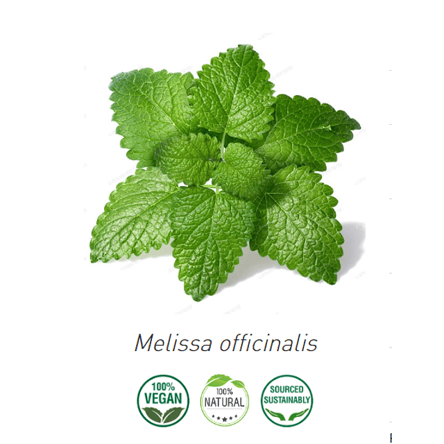 Aceite Melisa / Toronjil de Alemania (esencial)  NB: Melissa Officinalis