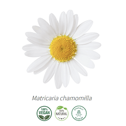 Aceite Manzanilla Alemana o Azul de Nepal (nuevo) (esencial) NB: Matricaria chamomilla
