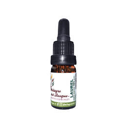 Aceite Laurel de Turquia (esencial)  NB: Laurus Nobilis