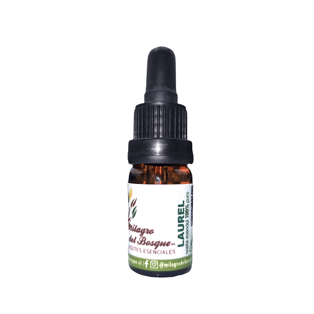 Aceite Laurel de Turquia (esencial)  NB: Laurus Nobilis