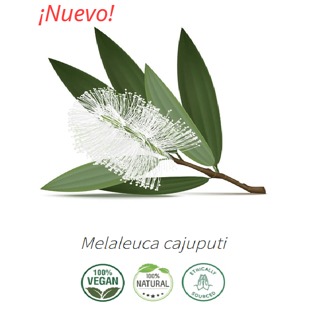 Aceite Cajeput  (Esencial) NB: Melaleuca Cajuputi