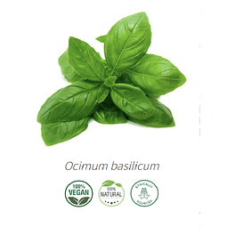 Aceite Albahaca (Esencial)  NB: Ocimum basilicum