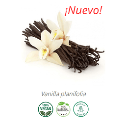 Aceite Vainilla # 2 (Esencial) NB: Vainilla planifolia