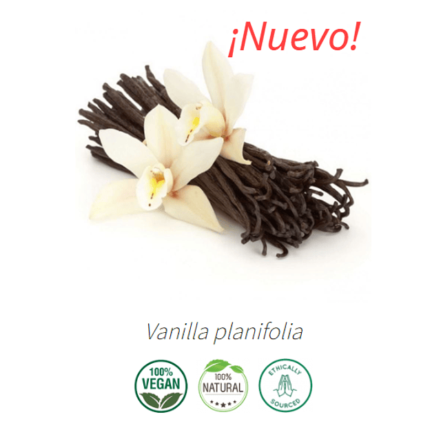Aceite Vainilla # 2 (Esencial) NB: Vainilla planifolia