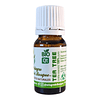 Aceite Tea Tree BIO- Qt aceite esencial