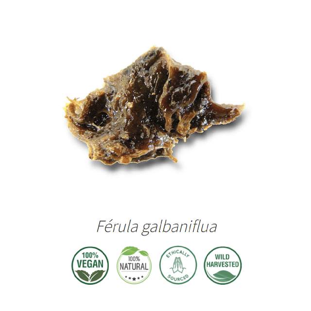 Aceite Galbanun (Esencial) NB: Ferula Galbaniflua