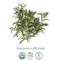 Aceite Extracto Co2 Romero NB: Rosmarinus officinalis L. ct cineole