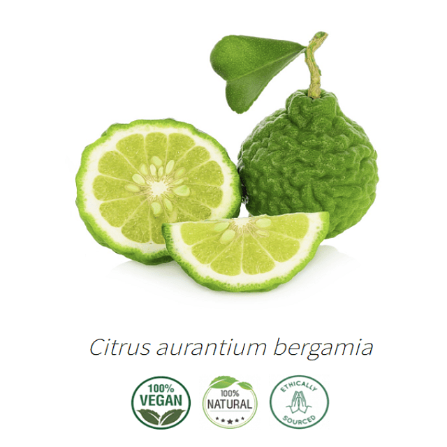 Aceite Extracto Co2 Bergamota NB: Citrus aurantium bergamia