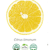 Aceite Extracto Co2 Limón (Esencial) NB: Citrus Limonum