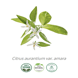 Aceite Extracto Co2 Azahar / Neroli NB: Citrus aurantium var. amara