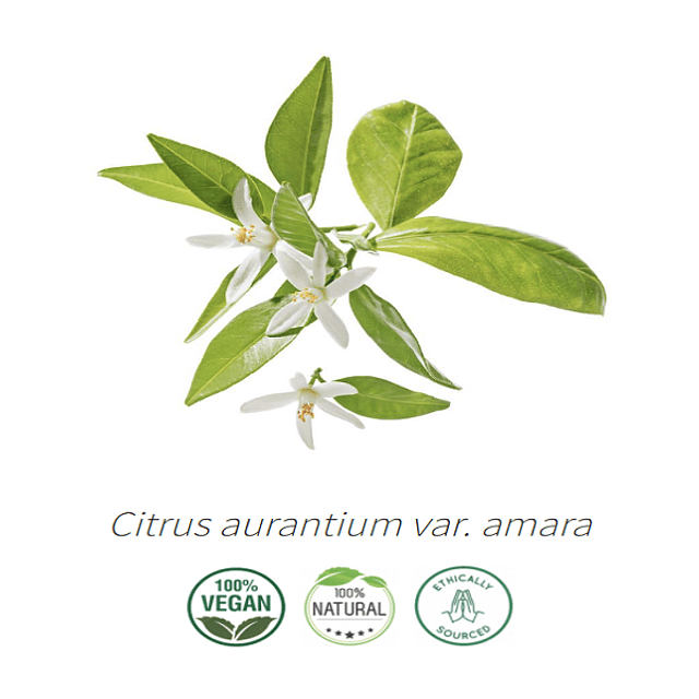 Aceite Extracto Co2 Azahar / Neroli NB: Citrus aurantium var. amara