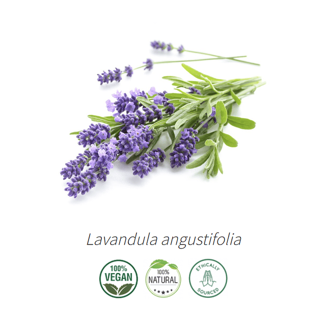 Aceite Extracto Co2 Lavanda   NB: 