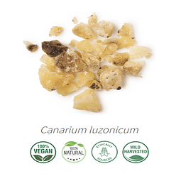 Aceite Elemi (esencial) NB: Canarium luzonicum