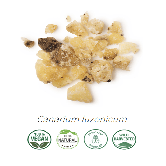 Aceite Elemi (esencial) NB: Canarium luzonicum