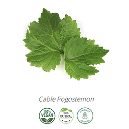 Aceite Pachuli / Patchouli Oscuro Intenso de Indonesia (Esencial) NB: Cable Pogostemon 10 ml