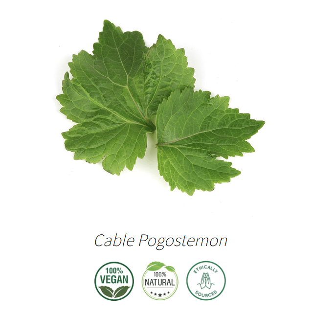 Aceite Pachuli / Patchouli Oscuro Intenso de Indonesia (Esencial) NB: Cable Pogostemon 10 ml