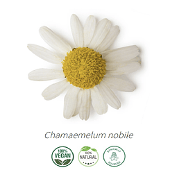 Aceite Manzanilla Romana o Camomila (esencial) 10 ml NB: Chamaemelum nobile