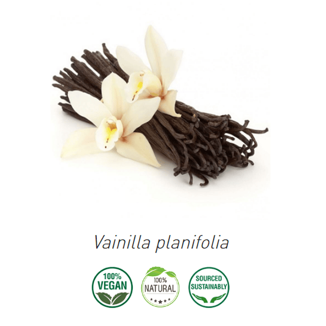Aceite Absoluto Vainilla NB: Vainilla planifolia
