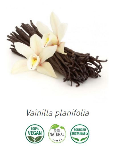 Aceite Absoluto Vainilla INCI: Vainilla planifolia