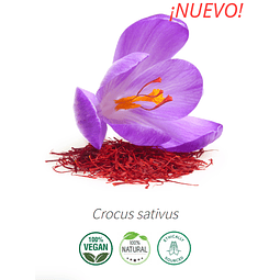 Aceite Azafrán / azafran 10 ml  (esencial)  NB: Crocus sativus