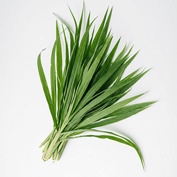 Aceite Citronela Ceylan (Esencial) NB: Cymbopogon Nardus