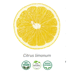 Aceite Extracto Co2 Limón NB: Citrus Limonum