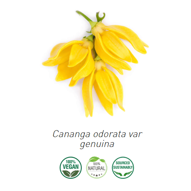 Aceite Extracto Co2 Ylang Ylang NB: Cananga odorata var. genuina
